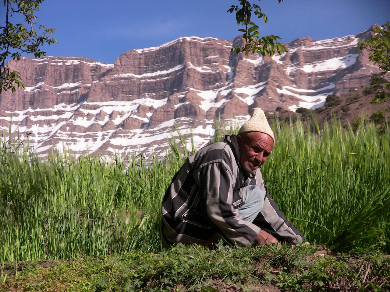 Amazigh 