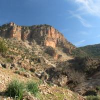 Amazigh 