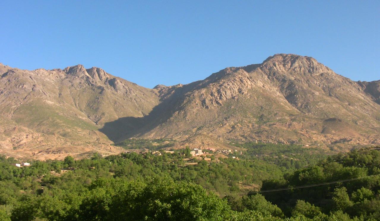 Amazigh 
