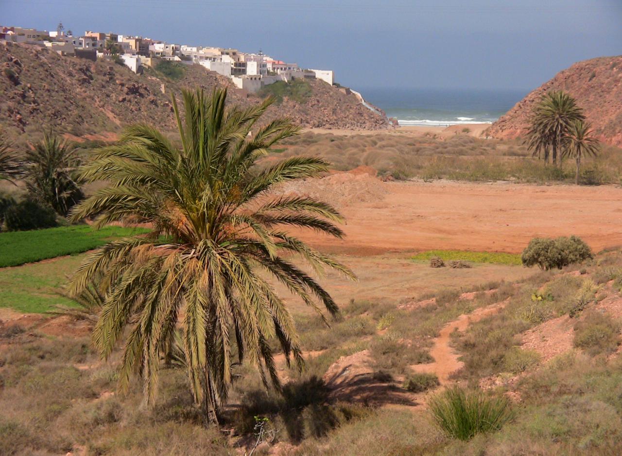 Amazigh 