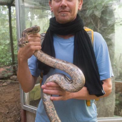 Animaux Costa Rica et Nicaragua   