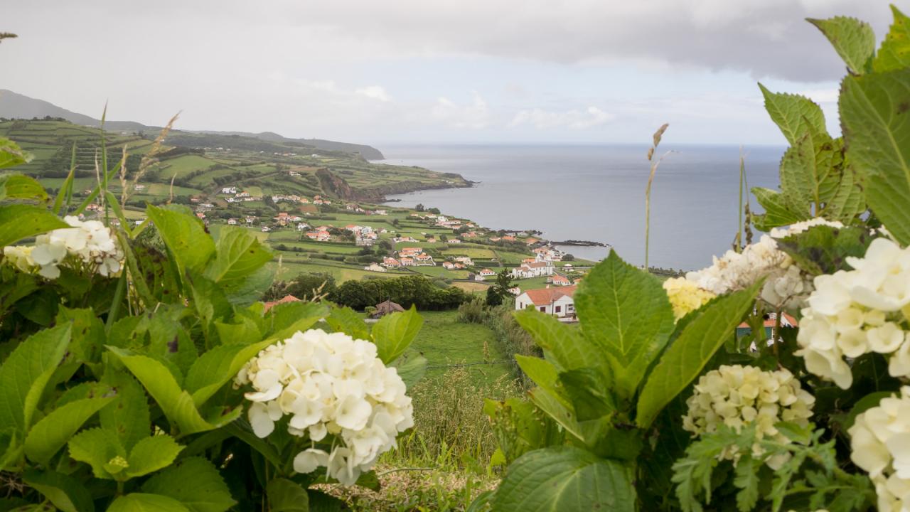 Açores