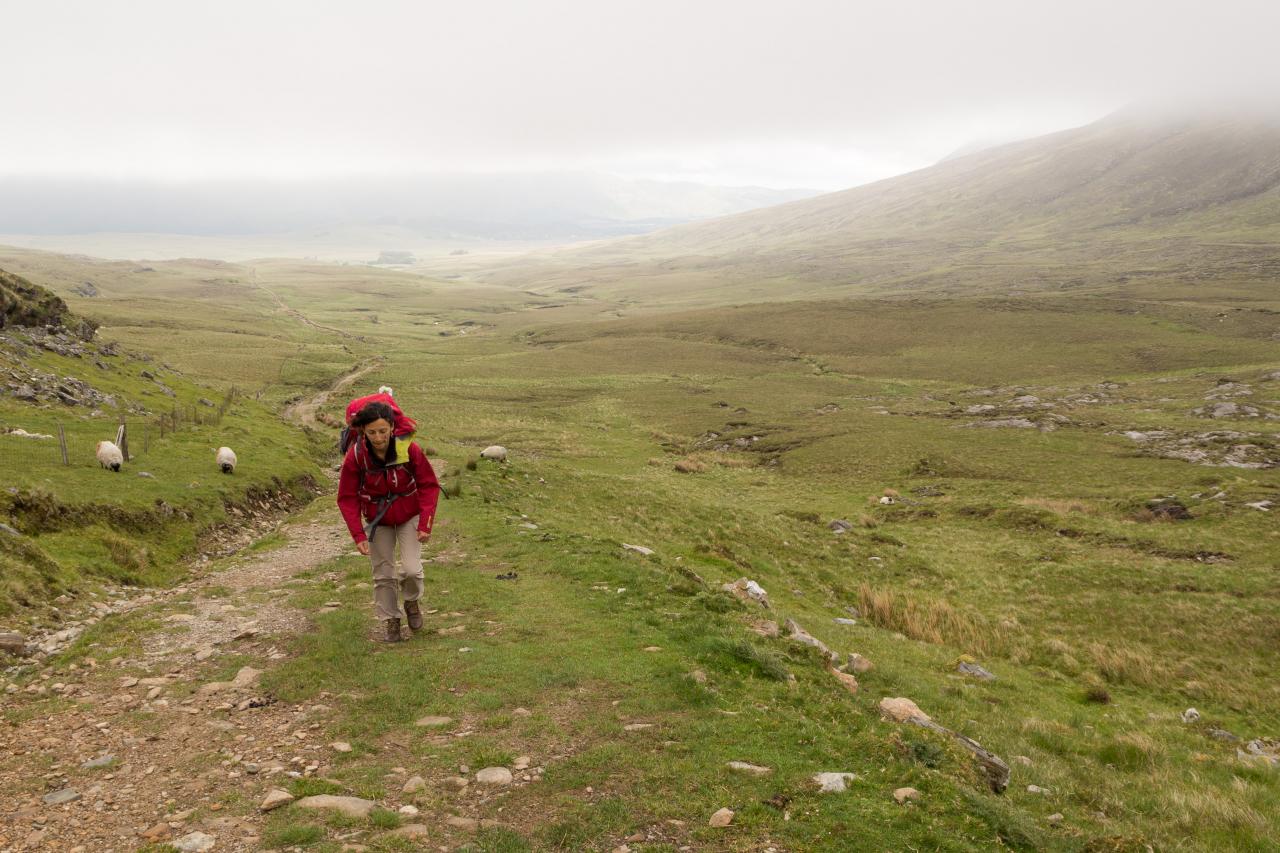 Best Irlande - Connemara -  mai 2017-10