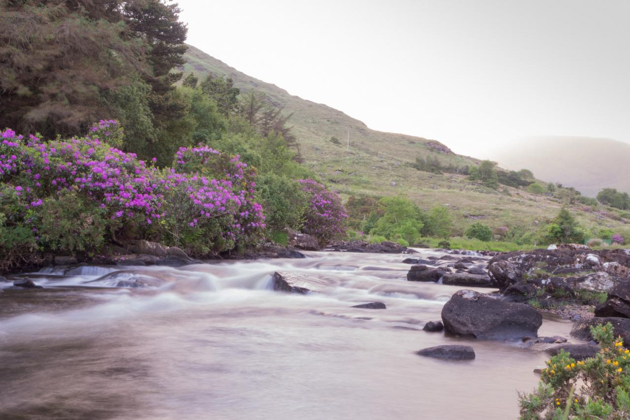 Best Irlande - Connemara -  mai 2017-33