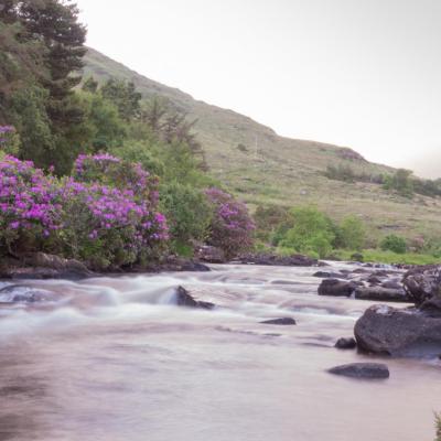 Irlande - Connemara