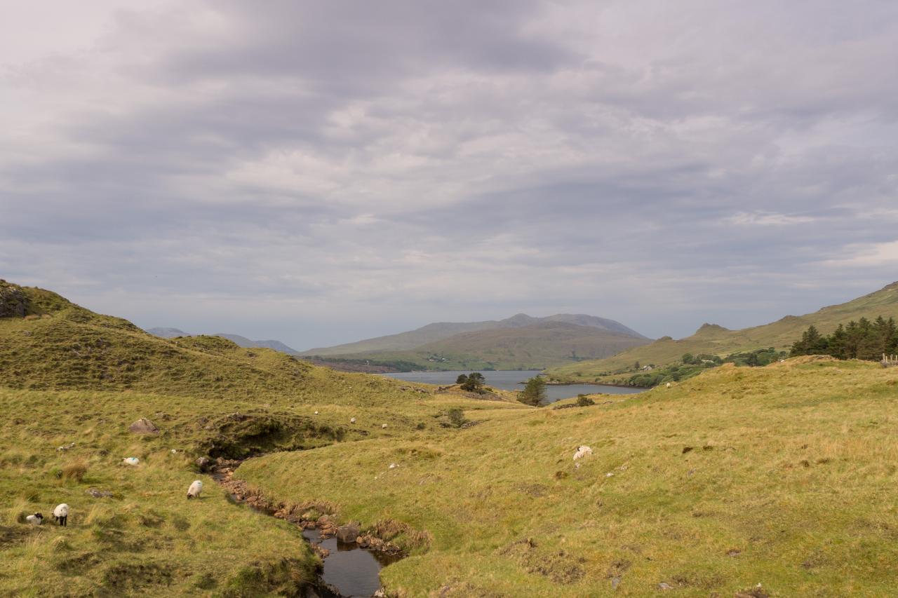 Best Irlande - Connemara -  mai 2017-35