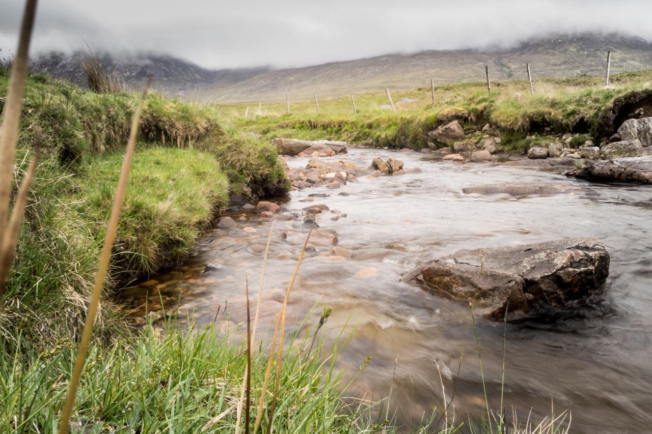 Best Irlande - Connemara -  mai 2017-5