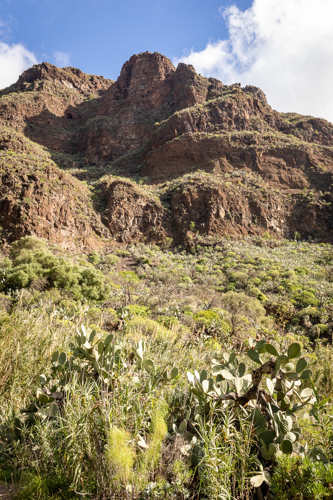 Canarias trek 1 sur 49 