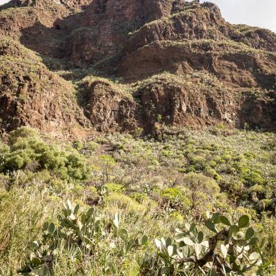 Traversé de l'archipel des îles Canaries