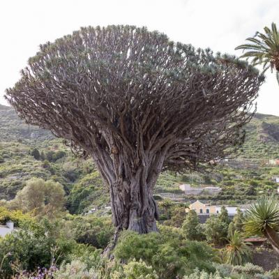 Traversé de l'archipel des îles Canaries