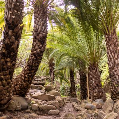 Traversé de l'archipel des îles Canaries