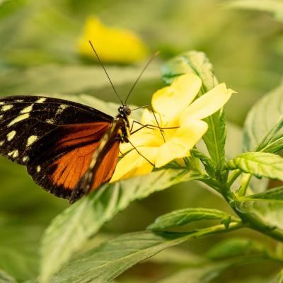 Traversé de l'archipel des îles Canaries