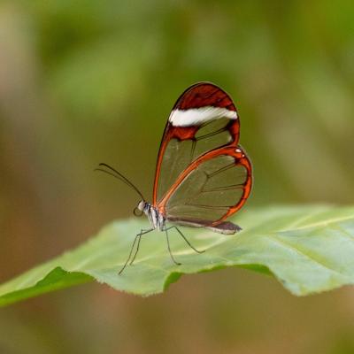 Traversé de l'archipel des îles Canaries