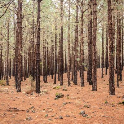 Traversé de l'archipel des îles Canaries