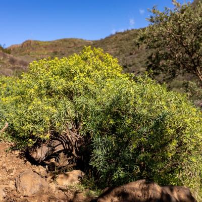 Traversé de l'archipel des îles Canaries