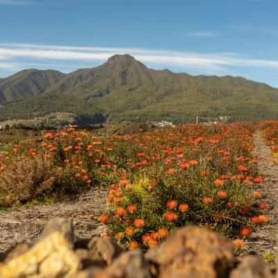 Traversé de l'archipel des îles Canaries