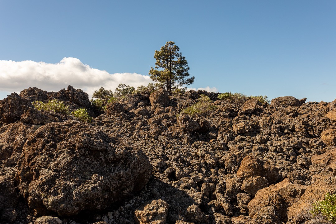 Canarias trek 38 sur 49 