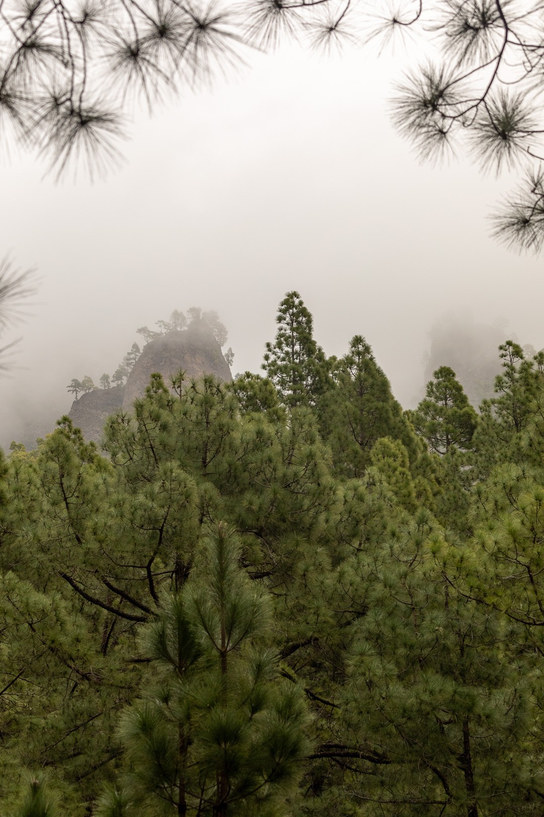 Canarias trek 39 sur 49 