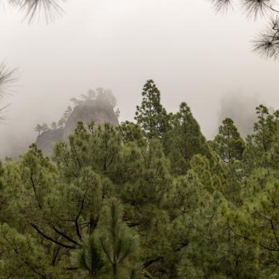 Traversé de l'archipel des îles Canaries