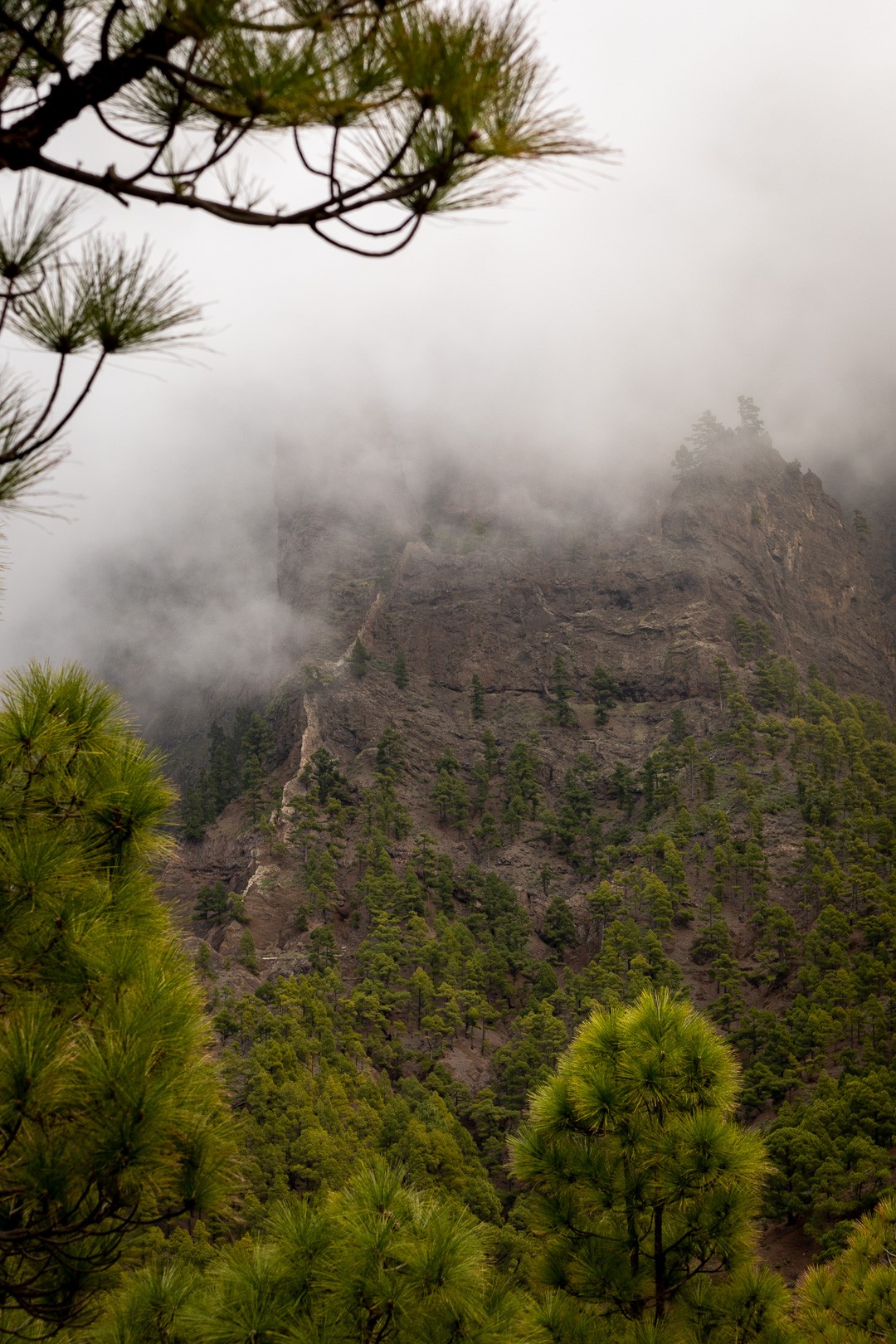 Canarias trek 40 sur 49 