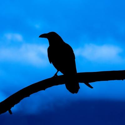 Traversé de l'archipel des îles Canaries