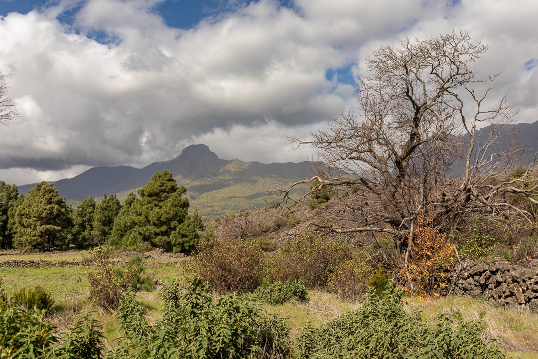 Canarias trek 46 sur 49 