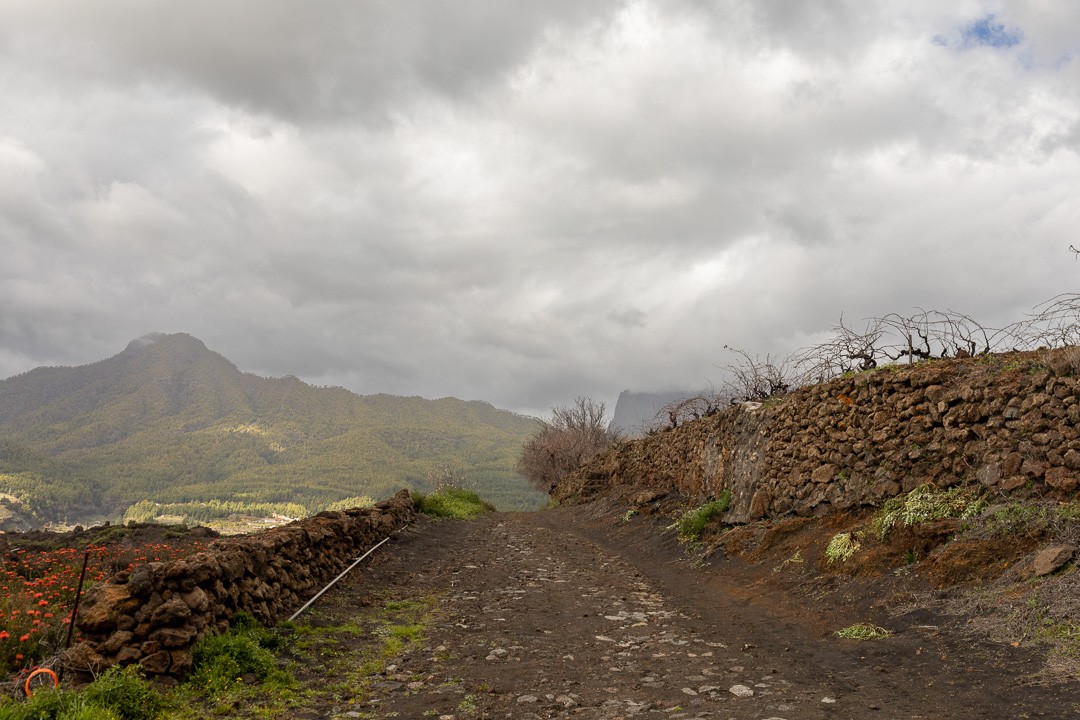 Canarias trek 49 sur 49 