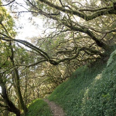 Île de la Gomera Canarias 