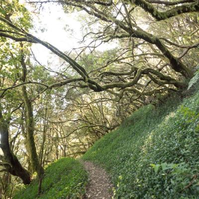 Île de la Gomera Canarias 