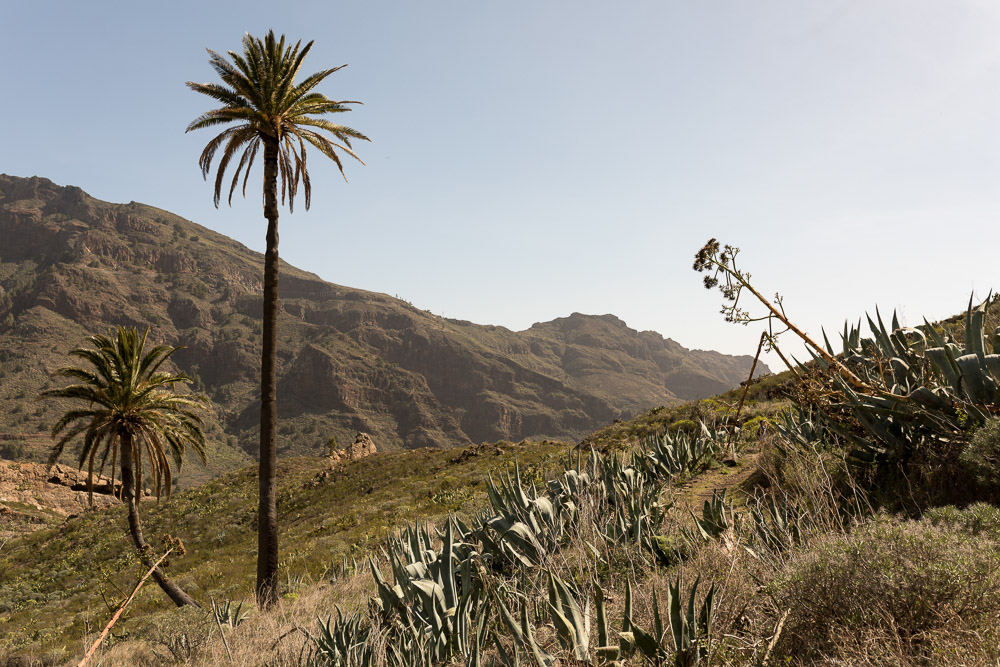 Île de la Gomera Canarias 