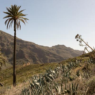 Île de la Gomera Canarias 