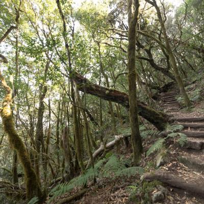 Île de la Gomera Canarias 