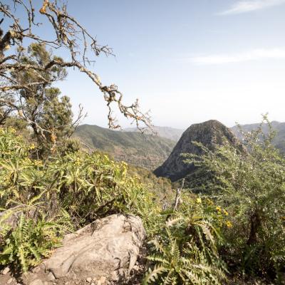Île de la Gomera Canarias 