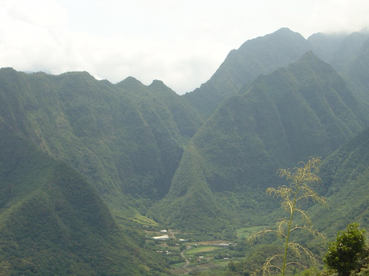 Île de la réunion 2004 (168)