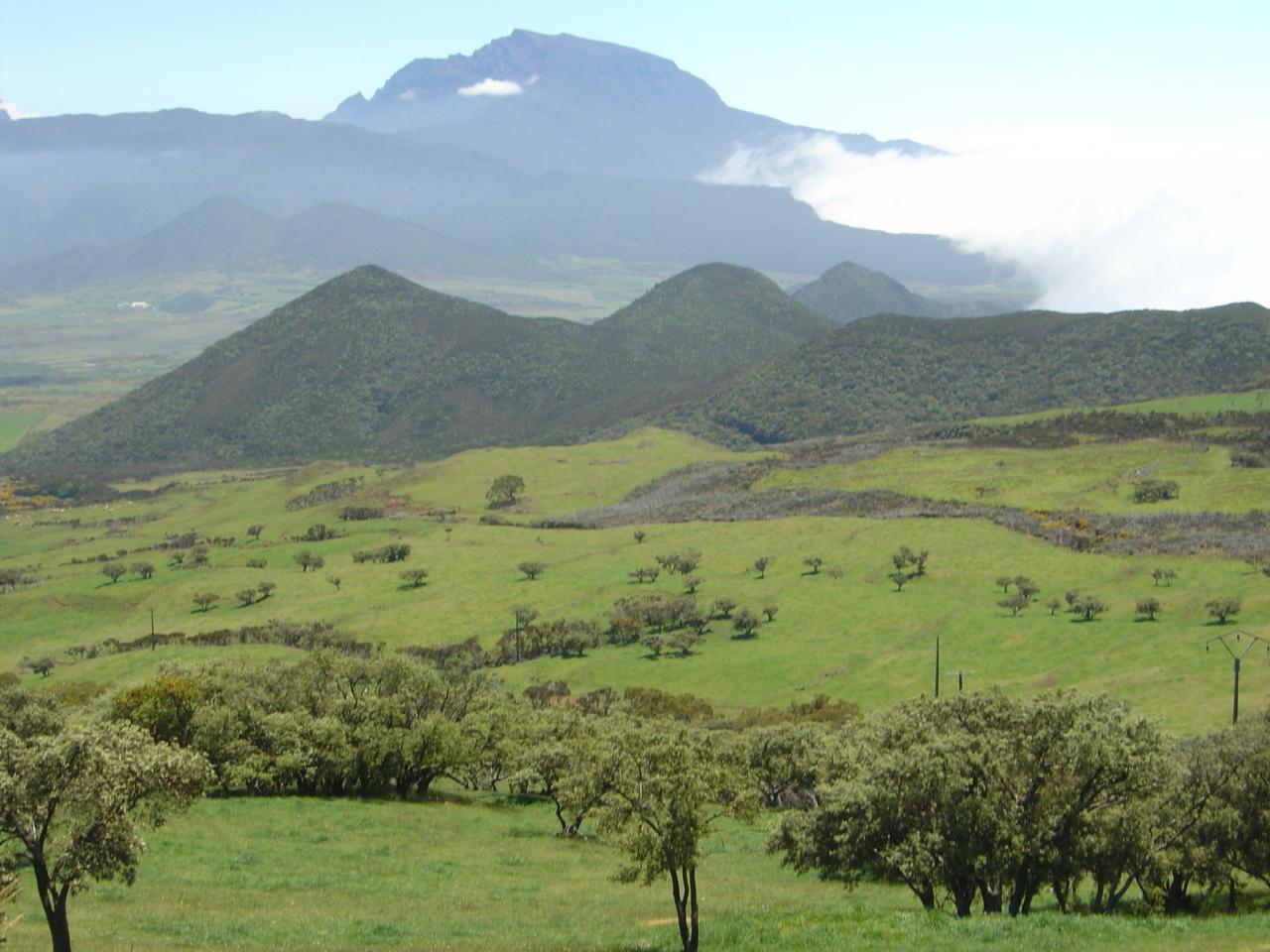 Île de la réunion 2004 (232)