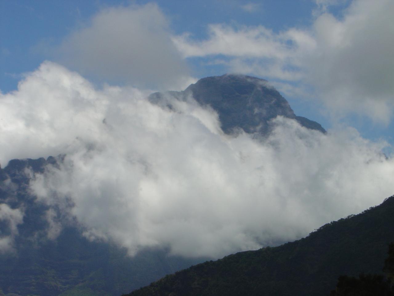 Île de la réunion 2004 (302)