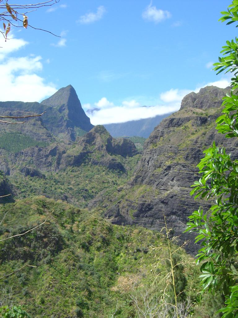 Île de la réunion 2004 (409)