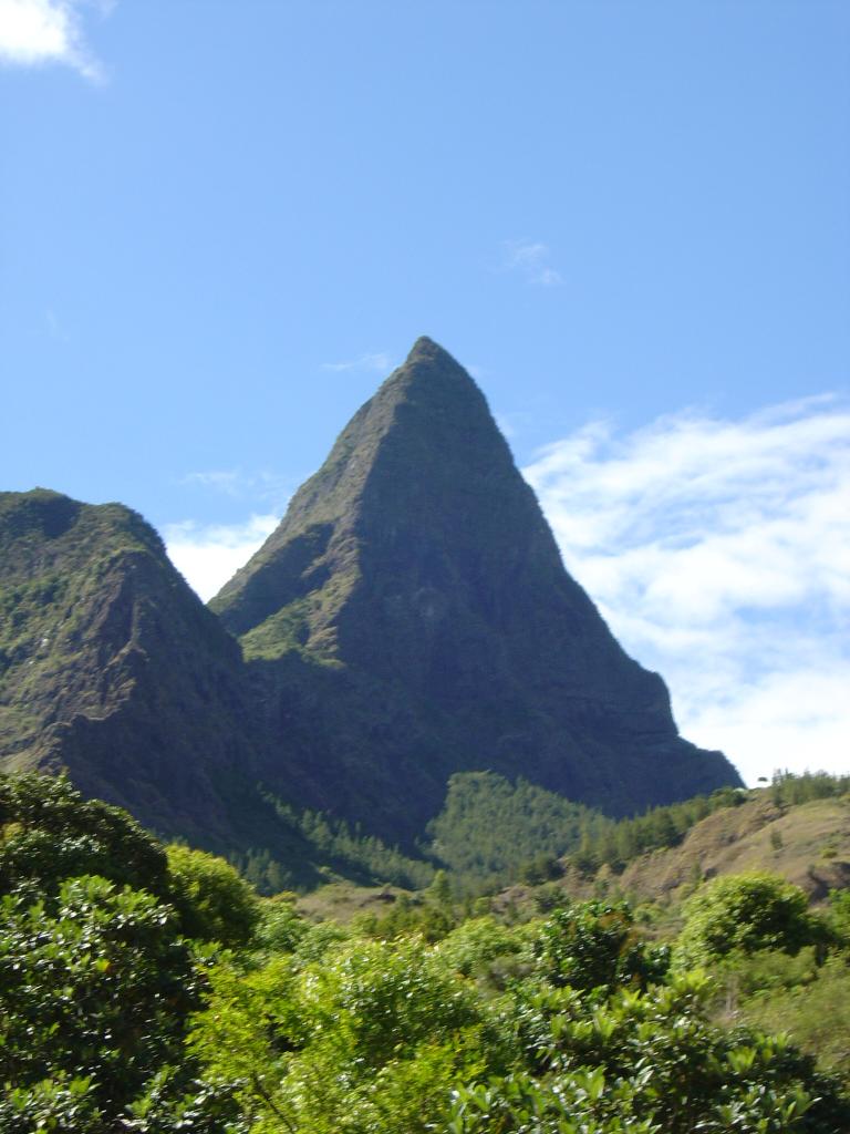 Île de la réunion 2004 (476)