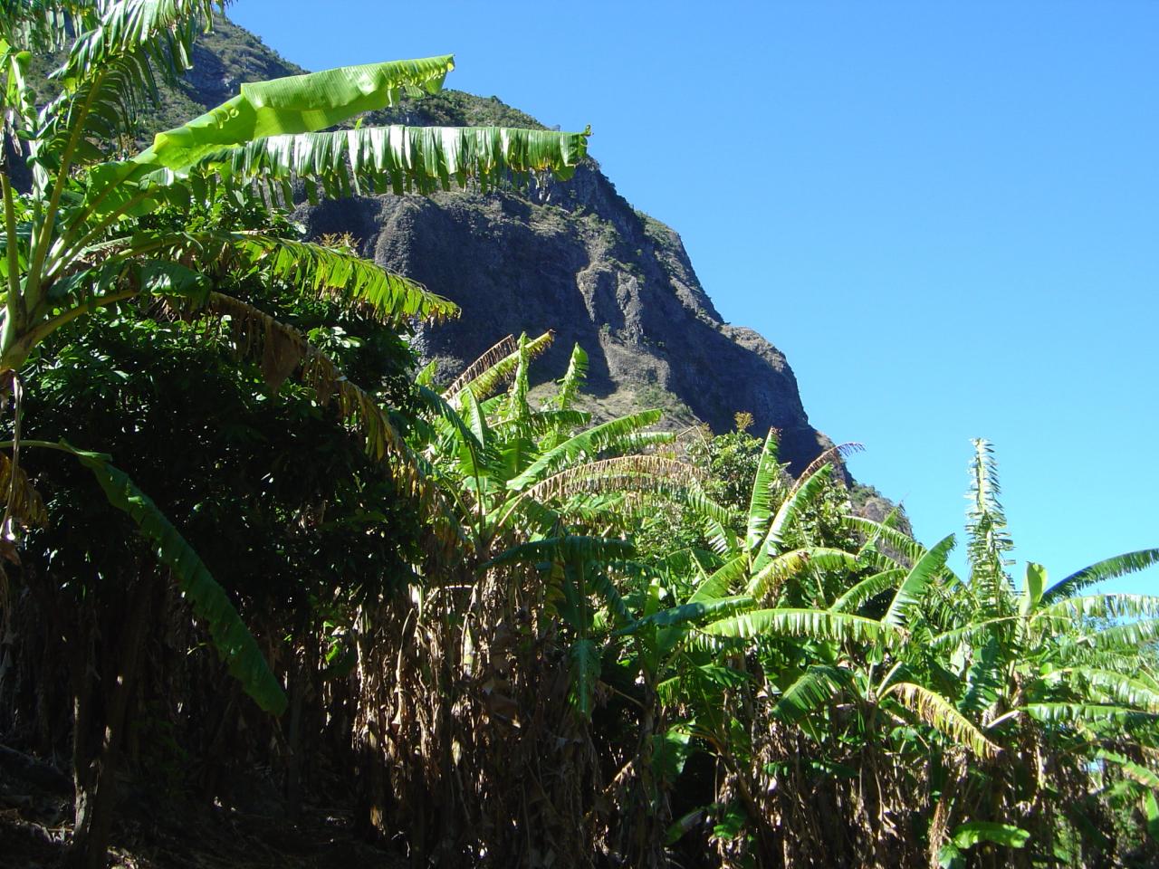 Île de la réunion 2004 (95)