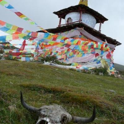Mekong - Histoire d'un fleuve