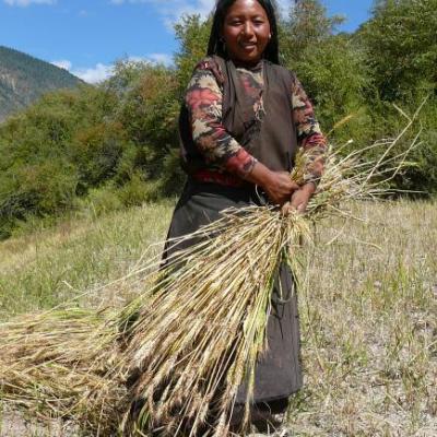Mekong - Histoire d'un fleuve