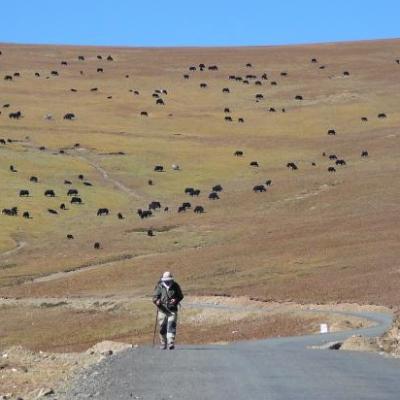 Mekong - Histoire d'un fleuve
