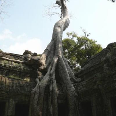 Mekong - Histoire d'un fleuve