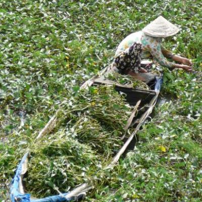 Mekong - Histoire d'un fleuve