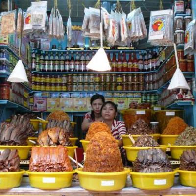 Mekong - Histoire d'un fleuve