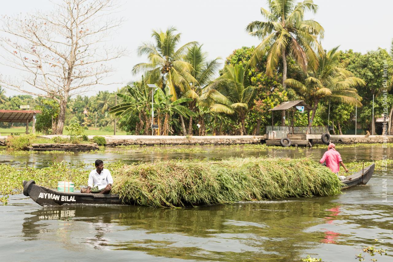 Inde kerala net (58)