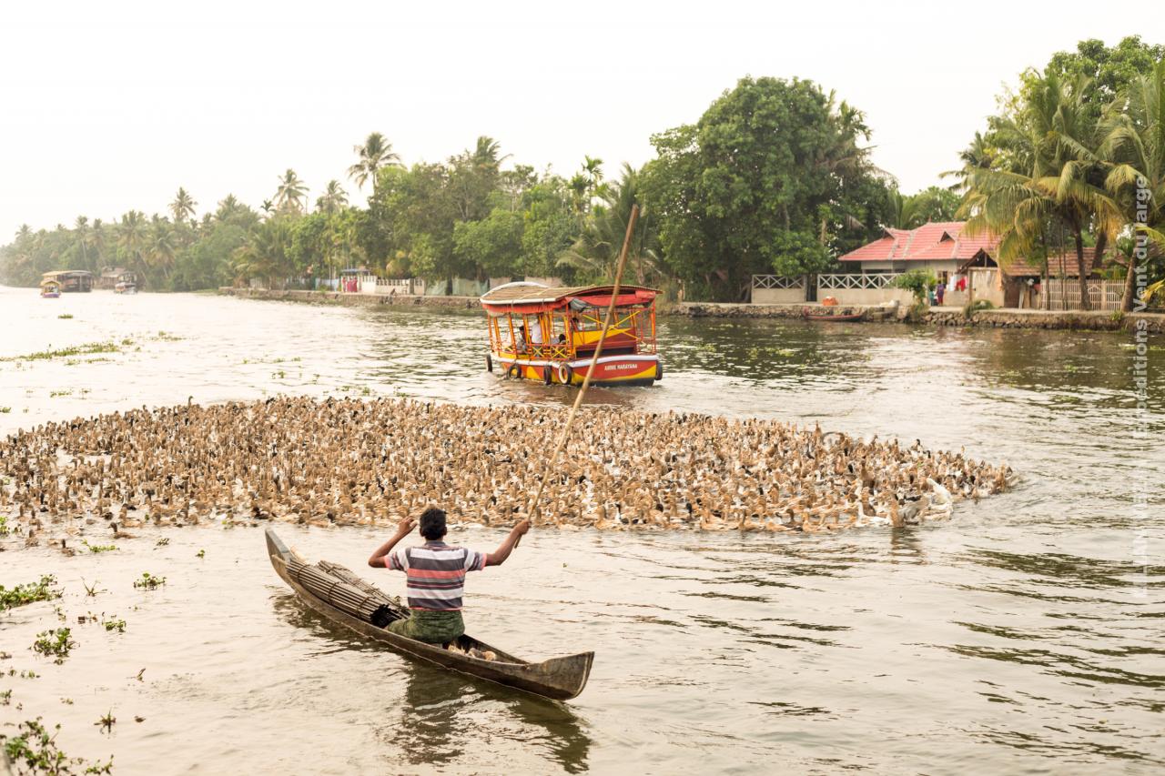 Inde kerala net (63)