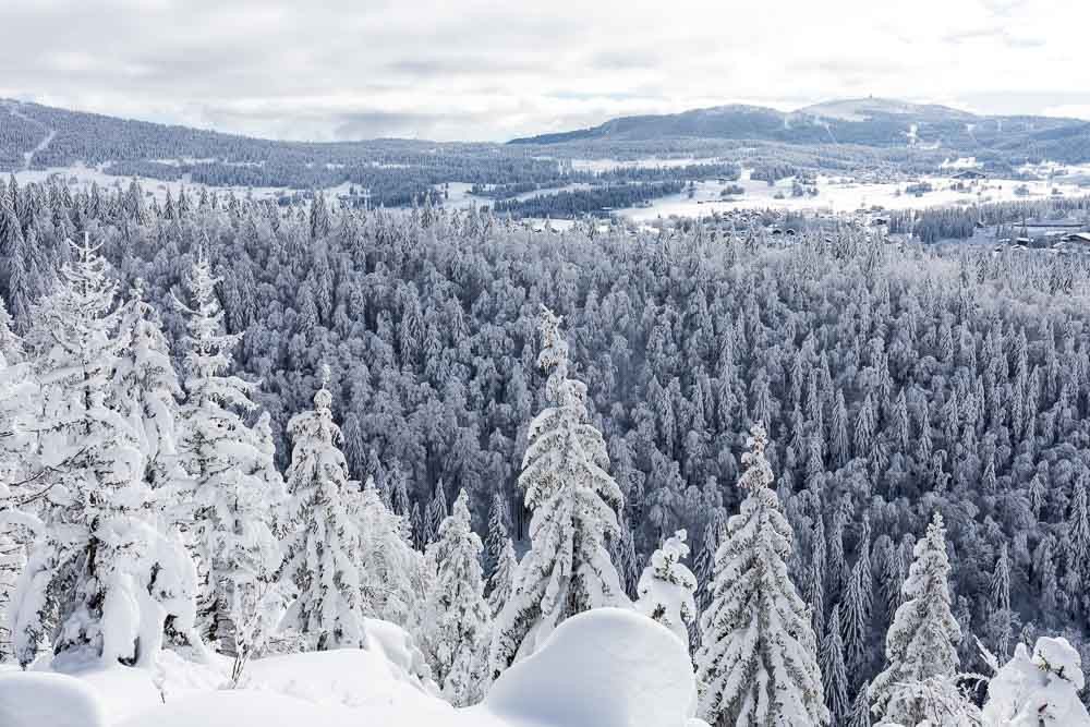 Randonnées hivernales Jura et Vercors