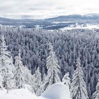 Randonnées hivernales Jura et Vercors