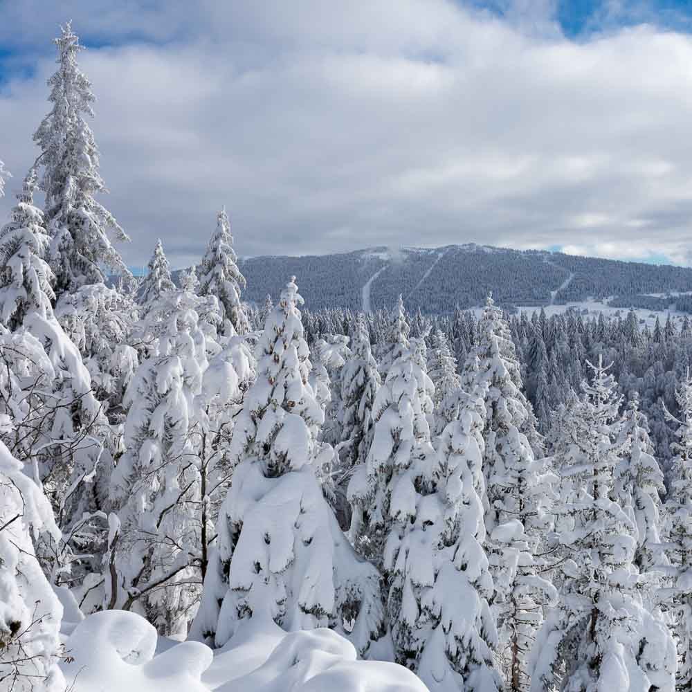 Randonnées hivernales Jura et Vercors